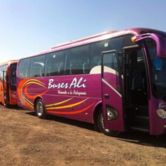 tehuelche noticias: Conductor de buses Ays&eacute;n- Coyhaique conduc&iacute;a bajo la influencia del alcohol