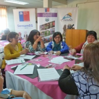 tehuelche noticias: Mujeres del Litoral Ays&eacute;n culminan su trayectoria en el Programa Capacitaci&oacute;n para el Emprendimiento de SernamEG