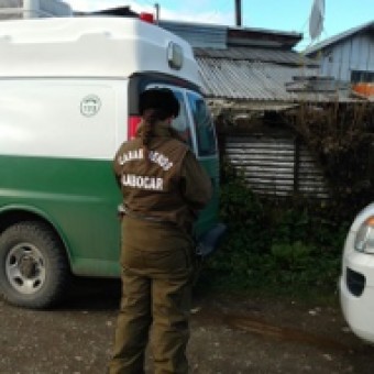 tehuelche noticias: Carabineros detuvo a imputado por robo en lugar habitado en Coyhaique