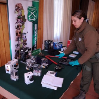 tehuelche noticias: O.S.7 de Carabineros detuvo a tres sujetos por robo a local comercial logrando la recuperaci&oacute;n de las especies