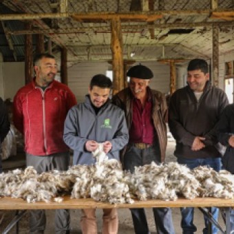 tehuelche noticias: Productores campesinos del norte y centro de Ays&eacute;n inician acopio asociativo de lana