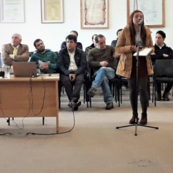 tehuelche noticias: CORE aprob&oacute; proyectos dos Fril emergencia para Chile Chico