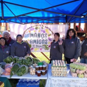 tehuelche noticias: Programa FNDR de SernamEG organiza ferias de comercializaci&oacute;n en Villa Frei y El Blanco
