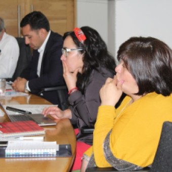 tehuelche noticias: Consejo Regional Aprob&oacute; Recursos para Carabineros