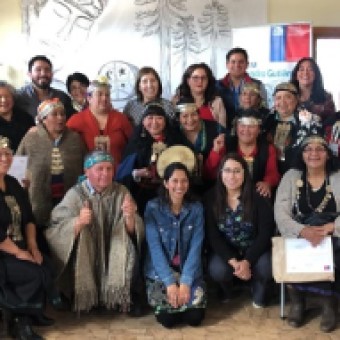tehuelche noticias: Comunidades ind&iacute;genas de Coyhaique perfeccionaron t&eacute;cnicas para elaborar productos a base de hierbas medicinales