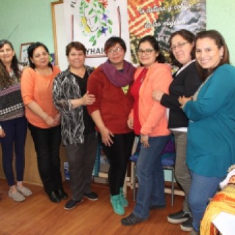 tehuelche noticias: Agrupaci&oacute;n Flores Nativas Cerr&oacute; Taller de Telar B&aacute;sico y Mapuche