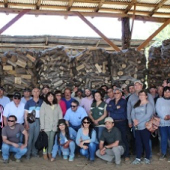 tehuelche noticias: PROPIETARIOS FORESTALES DE AYS&Eacute;N PROFUNDIZARON EN  EXPERIENCIAS Y MODELOS DE NEGOCIOS EN LA ARAUCAN&Iacute;A