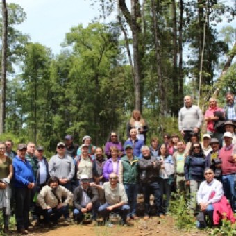 tehuelche noticias: PROPIETARIOS FORESTALES DE AYS&Eacute;N PROFUNDIZARON EN  EXPERIENCIAS Y MODELOS DE NEGOCIOS EN LA ARAUCAN&Iacute;A