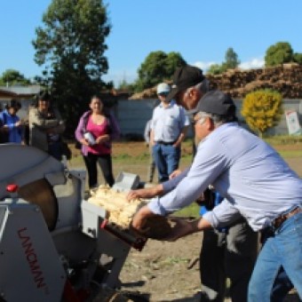 tehuelche noticias: PROPIETARIOS FORESTALES DE AYS&Eacute;N AVANZAN EN  PRODUCCI&Oacute;N DE DENDROENERG&Iacute;A MEDIANTE TECNIFICACI&Oacute;N