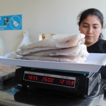 tehuelche noticias: Creaci&oacute;n de empresas sube 20%  en la regi&oacute;n de Ays&eacute;n durante 2019
