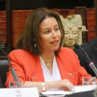 tehuelche noticias: C&Aacute;MARA ALTA APRUEBA PROYECTO DE LA SENADORA ORDENES QUE LIBERA RADIO FM EN TEL&Eacute;FONOS M&Oacute;VILES