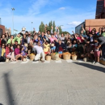 tehuelche noticias: La comunidad y turistas participan de exitosa Cosecha Comunitaria de Damascos