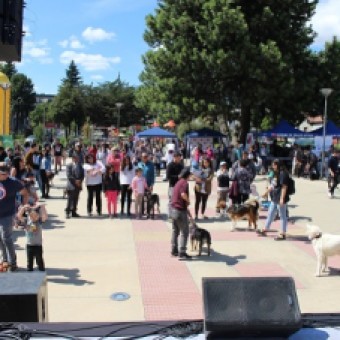 tehuelche noticias: INVITAN A LA COMUNIDAD A LA TENENCIA RESPONSABLE DE MASCOTAS