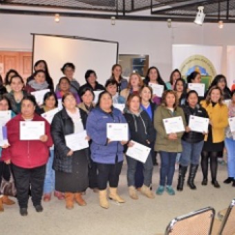 tehuelche noticias: SernamEG invita a postular al Programa Mujeres Jefas de Hogar