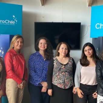 tehuelche noticias: PROCHILE CONSOLIDA ALIANZA PARA QUE  MUJERES EMPRESARIAS DE AYS&Eacute;N EXPORTEN
