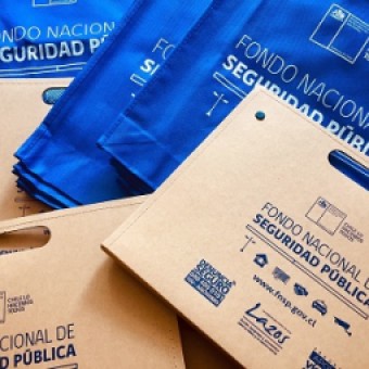 tehuelche noticias: Ya est&aacute; abierto el Concurso 2020 del Fondo Nacional de Seguridad P&uacute;blica