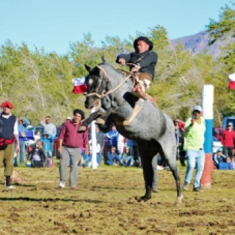 tehuelche noticias: En Bah&iacute;a Jara finalizaron costumbristas organizadas por la Municipalidad de Chile Chico
