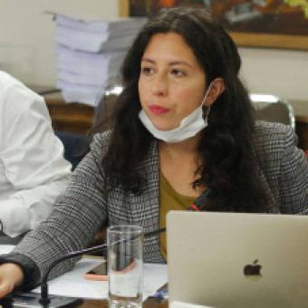 tehuelche noticias: &ldquo;&iquest;Renta B&aacute;sica de Emergencia? Na, mejor una Ley Sticker&rdquo;: La indignaci&oacute;n por las prioridades del Congreso en plena crisis sanitaria