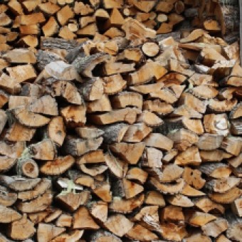 tehuelche noticias: Seremi de Energ&iacute;a y  Gerente de Cooperativa de Comerciantes de Le&ntilde;a de Coyhaique se reunen para ver acciones conjuntas que permitan aumentar la oferta de le&ntilde;a seca