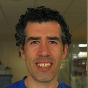 tehuelche noticias: Columna Paulo Moreno: Emisiones de gases de efecto invernadero pre y post Covid-19