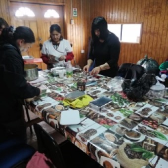 tehuelche noticias: La vuelta de las ollas comunes y canastas familiares