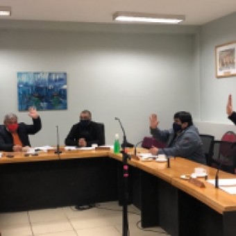 tehuelche noticias: CONCEJO MUNICIPAL DE COYHAIQUE APRUEBA ORDENANZA QUE OBLIGA USO DE MASCARILLAS EN ESPACIOS P&Uacute;BLICOS