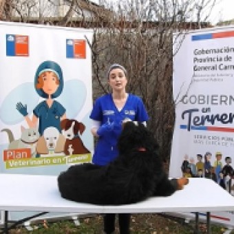 tehuelche noticias: Programa Mascota Protegida en General Carrera destaca la importancia de la desparasitaci&oacute;n de mascotas