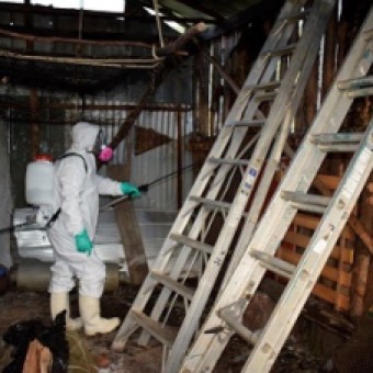tehuelche noticias: Confirman segundo caso de Hantavirus en Ays&eacute;n