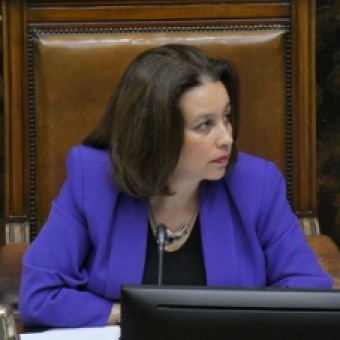 tehuelche noticias: Ximena &Oacute;rdenes: &ldquo;Los esca&ntilde;os reservados ponen fin a una hist&oacute;rica discriminaci&oacute;n contra los pueblos originarios&rdquo;