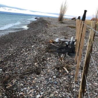 tehuelche noticias: Columna Pablo Schulze: &ldquo;En tiempos de pandemia, no podemos permitirnos un desastre medioambiental&rdquo;