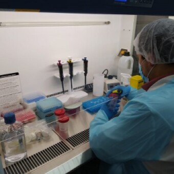 tehuelche noticias: Nuevo Laboratorio de Biolog&iacute;a Molecular del Hospital Regional Coyhaique fue autorizado por MINSAL