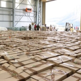 tehuelche noticias: M&aacute;s de 60 mil personas se han visto beneficiadas en la regi&oacute;n de Ays&eacute;n gracias a la Red de Protecci&oacute;n Social
