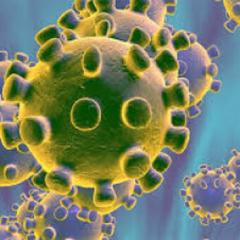tehuelche noticias: Se desconoce nexo epidemiol&oacute;gico de casos 29 y 30 de Covid 19 en Ays&eacute;n