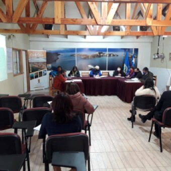tehuelche noticias: Concejo aprob&oacute; prorroga del pago de patente comercial para toda la comuna de Chile Chico