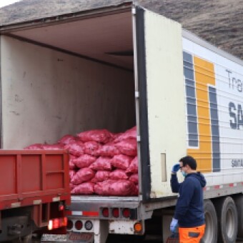 tehuelche noticias: EMPRESA PARTICULAR DONA M&Aacute;S DE 20 TONELADAS DE PAPAS PARA SER DISTRIBUIDAS A FAMILIAS NECESITADAS DE AYS&Eacute;N