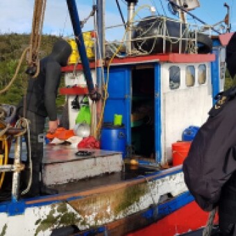 tehuelche noticias: Sernapesca Ays&eacute;n y Armada detectan 2 toneladas de recurso ilegal y apozamiento con