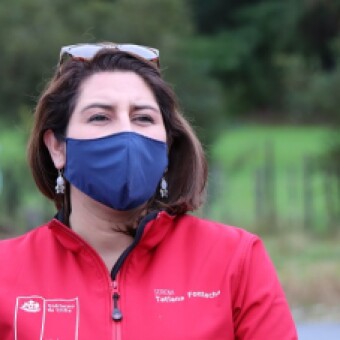 tehuelche noticias: PROGRAMA PROTECCI&Oacute;N CLASE MEDIA: 4 MEDIDAS PARA ALIVIAR LA CARGA ECONOM&Iacute;A DE LAS FAMILIAS CHILENAS