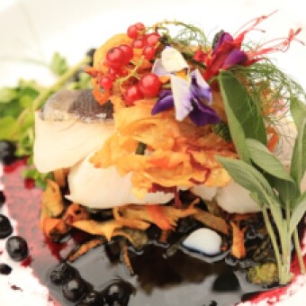 tehuelche noticias: 29 EMPRESAS GASTRON&Oacute;MICAS REANUDARON  ATENCI&Oacute;N A P&Uacute;BLICO EN LA REGI&Oacute;N DE AYS&Eacute;N