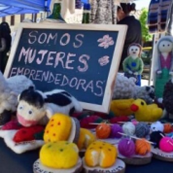 tehuelche noticias: PRODEMU inicia Ruta de Emprendimiento con el programa digital &ldquo;Juntas Crecemos&rdquo;