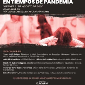 tehuelche noticias: Fiscal&iacute;a: M&aacute;s de 330 inscritos para seminario virtual de &ldquo;Violencia de G&eacute;nero y Violencia Intrafamiliar en tiempos de pandemia&rdquo;
