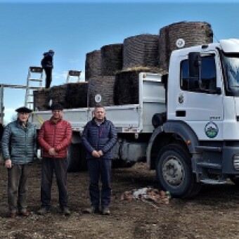 tehuelche noticias: Destacan entrega de forraje para campesinos locales por parte de OGANA