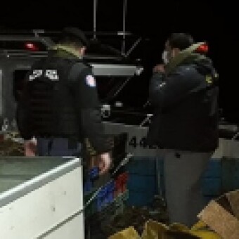 tehuelche noticias: Ays&eacute;n: Sernapesca y Armada incautan 44 toneladas de recurso erizo de origen ilegal