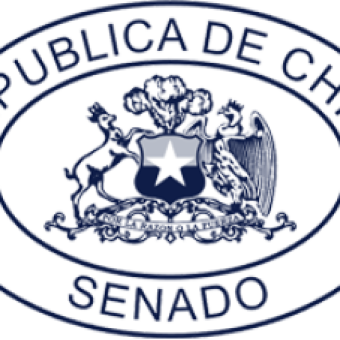 tehuelche noticias: Declaraci&oacute;n P&uacute;blica Senadores por falta de pronunciamiento del Gobierno en torno a voto a distancia para paciente Covid 19