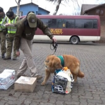 tehuelche noticias: Carabineros intensifica controles en terminal de buses de Coyhaique en v&iacute;speras de Fiestas Patrias