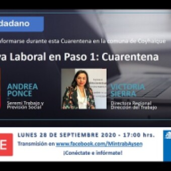 tehuelche noticias: Autoridades del Trabajo se refieren a aspectos laborales al inicio de la  Cuarentena de Coyhaique