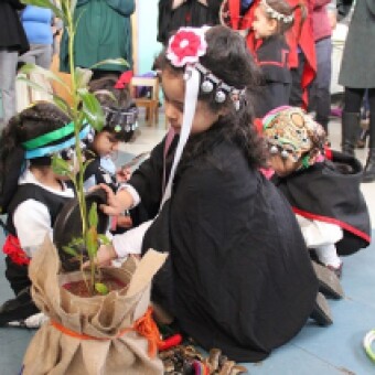 tehuelche noticias: Colegio de Profesores y Profesoras de Puerto Ays&eacute;n: &ldquo;No al retorno inseguro de los Jardines Junji&rdquo;