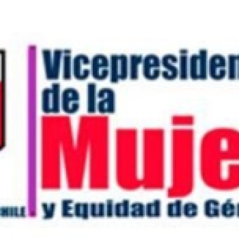 tehuelche noticias: Declaraci&oacute;n P&uacute;blica ante Femicidio ocurrido en Coyhaique