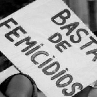 tehuelche noticias: SernamEG presentar&aacute; querella en contra de imputado por violaci&oacute;n con femicidio