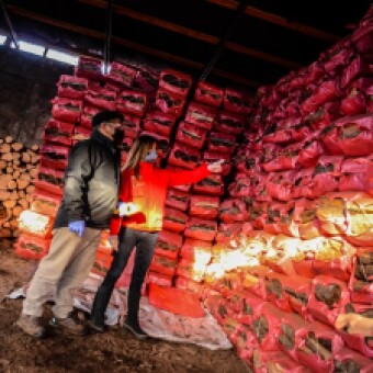 tehuelche noticias: Balance Gesti&oacute;n de Episodios Cr&iacute;ticos 2020:  Episodios de emergencia disminuyen en forma sostenida