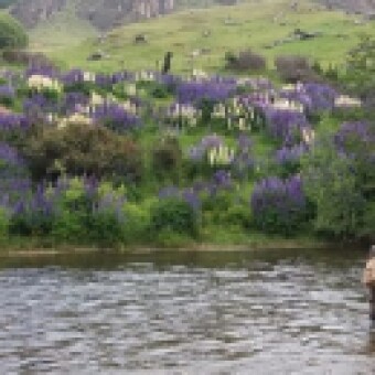 tehuelche noticias: Sernapesca informa apertura de temporada de pesca recreativa para la regi&oacute;n de Ays&eacute;n